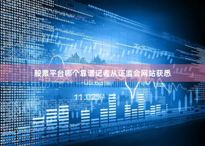股票平台哪个靠谱记者从证监会网站获悉