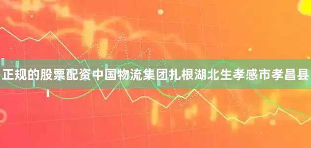 正规的股票配资中国物流集团扎根湖北生孝感市孝昌县