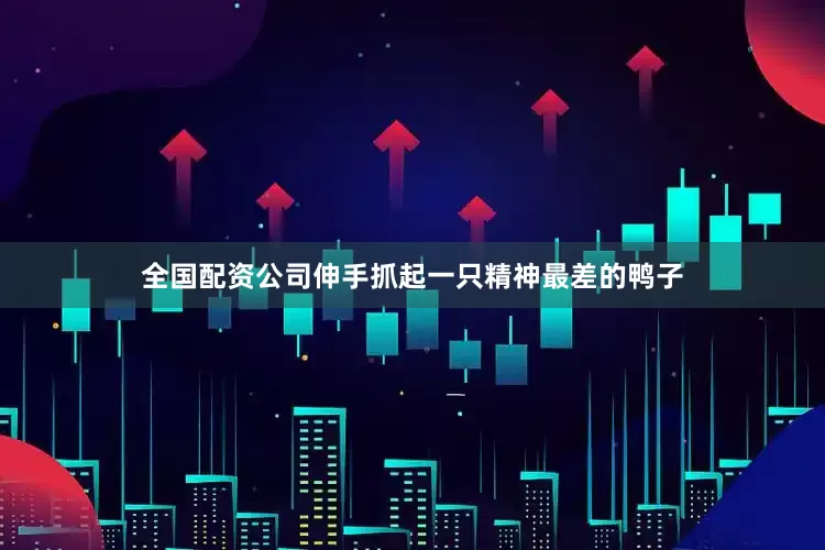 全国配资公司伸手抓起一只精神最差的鸭子